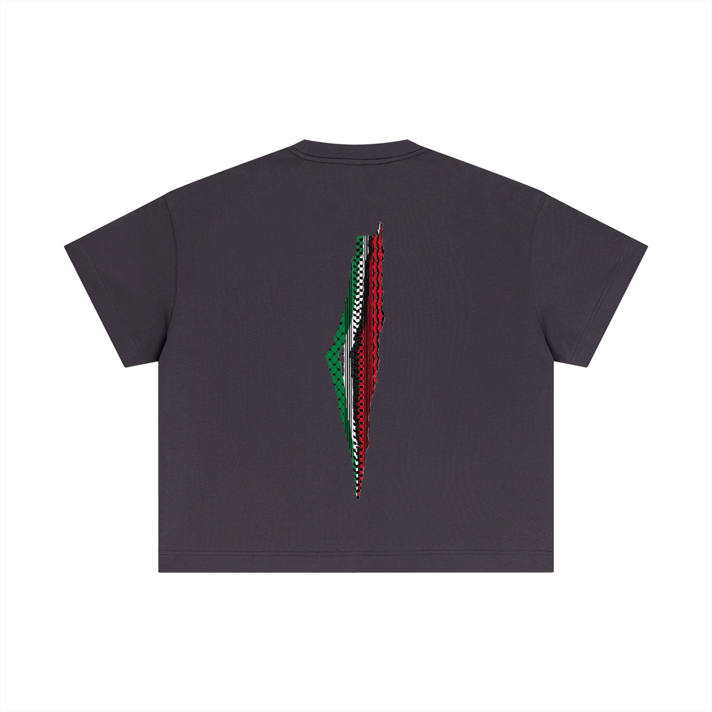 SEMO Palestine Boxy T-Shirt